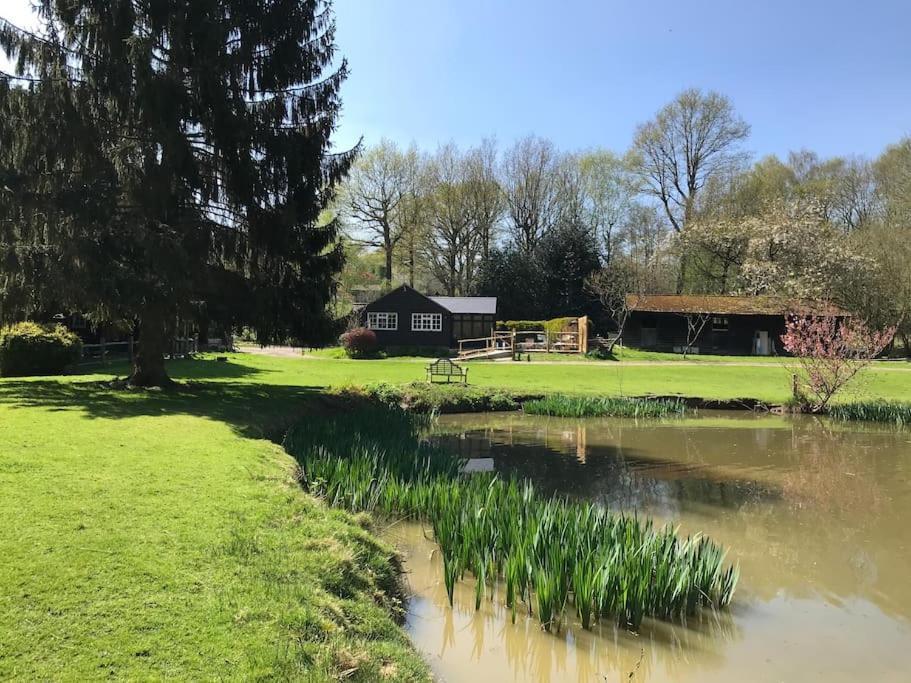 Halfmoon Lodge @ Knights Hole Wheelchair Access Cranbrook Εξωτερικό φωτογραφία